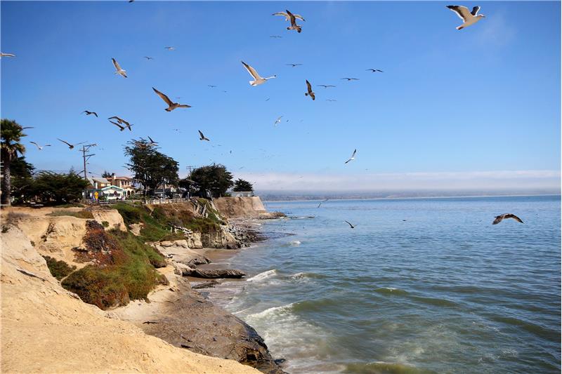 Nearby East Cliff Drive