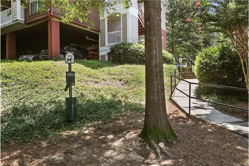 Dog friendly complex!