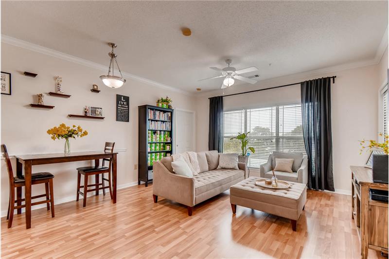 Open space with tons of natural light!