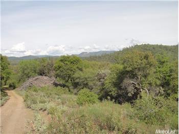 Primary listing photos for listing ID 530009