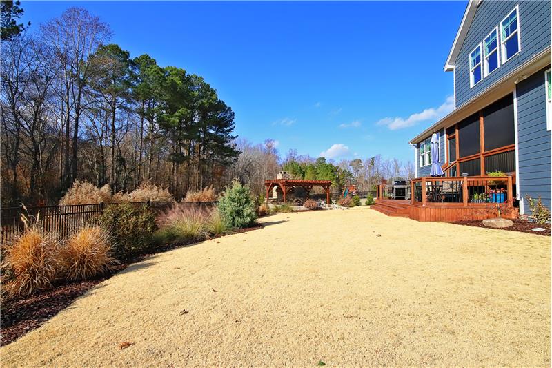 Beautiful Yard
