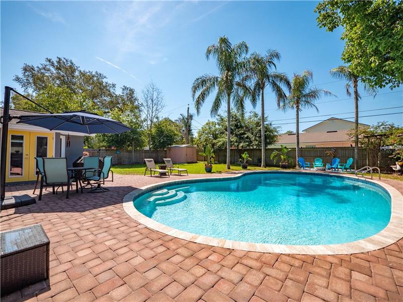 Pool and backyard view 1