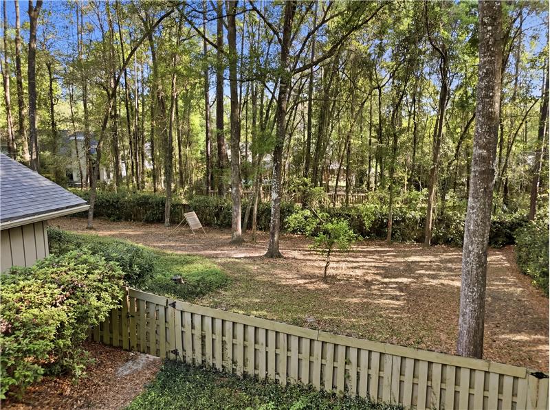 Aerial Backyard View