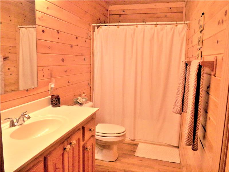 Guest Bath Main Level Tub / Shower