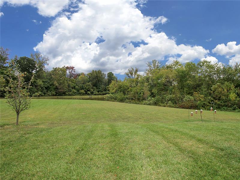 Backyard view of pond in common area