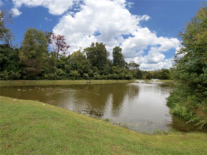 Common area pond