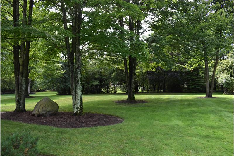 Picturesque back yard!