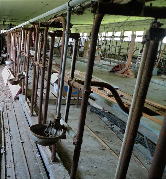 Closer look at milking parlor