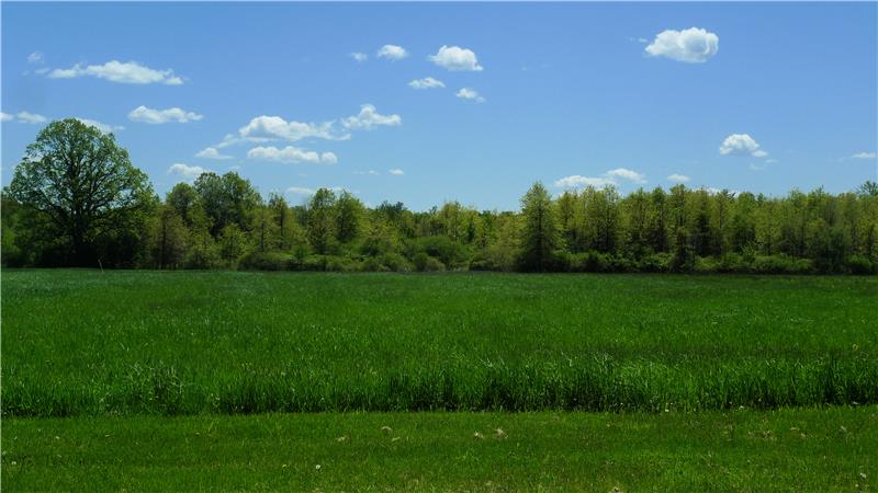 View of the fields 