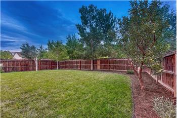 Spacious level backyard with lots of room for the kids and pets to run and play.