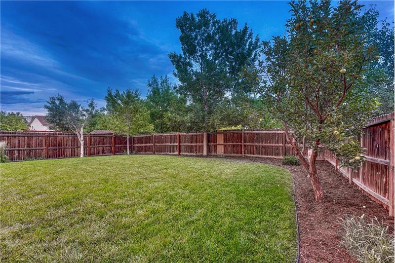 Spacious level backyard with lots of room for the kids and pets to run and play.