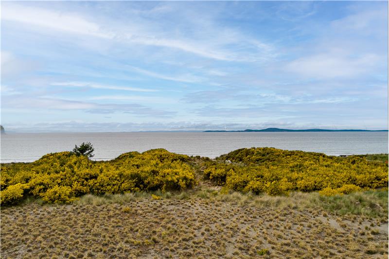 Enjoy this View after Building Your Dream Home. Lots of Bald Eagles, Birds and Seals.