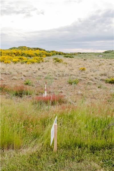 North Property Line Marker