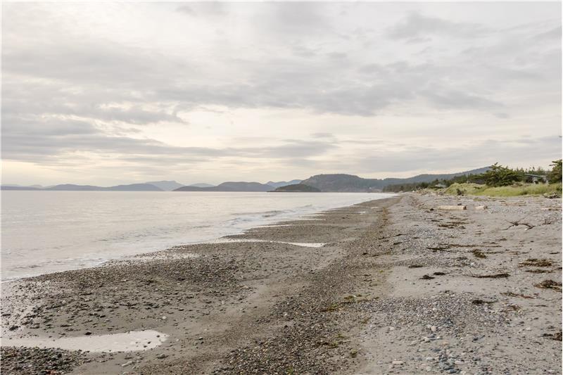 Beach View Looking North