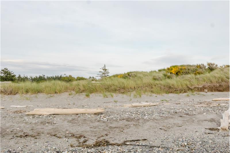 Another View of the beach