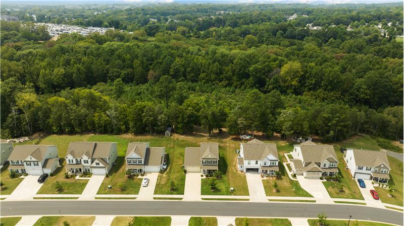 Home backs to dense tree buffer