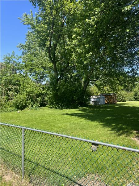 View to Unfenced Yard