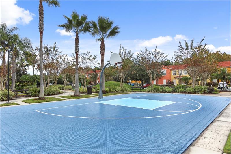 Basketball Court