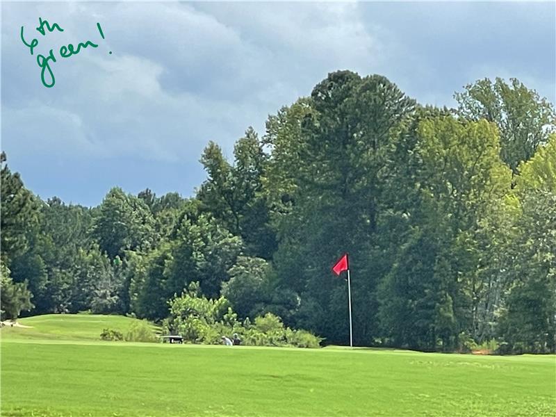 Backing the 6th Green - Privacy Behind You