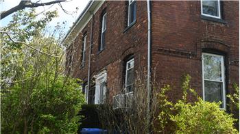 Primary listing photos for listing ID 565619