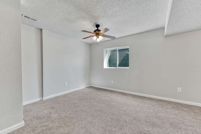 Basement Family Room