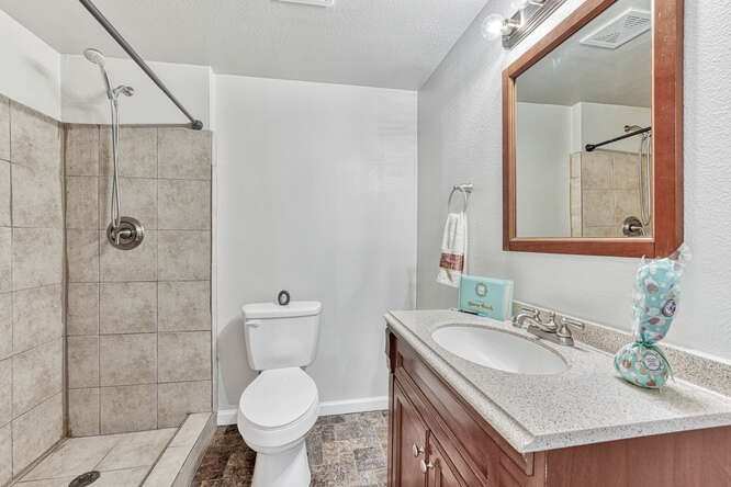 Basement Shower Bathroom