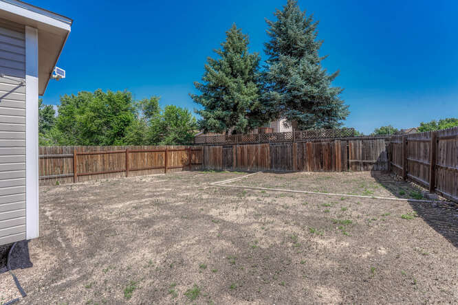 Fenced Backyard
