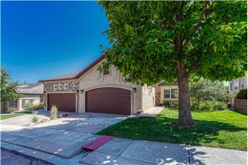 4871 Sanctuary Gr, Colorado Springs, CO