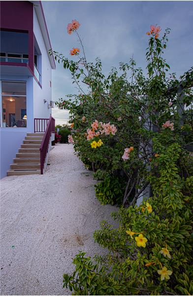 
                            Property Image 77