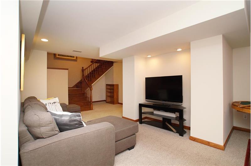 Family room lower level