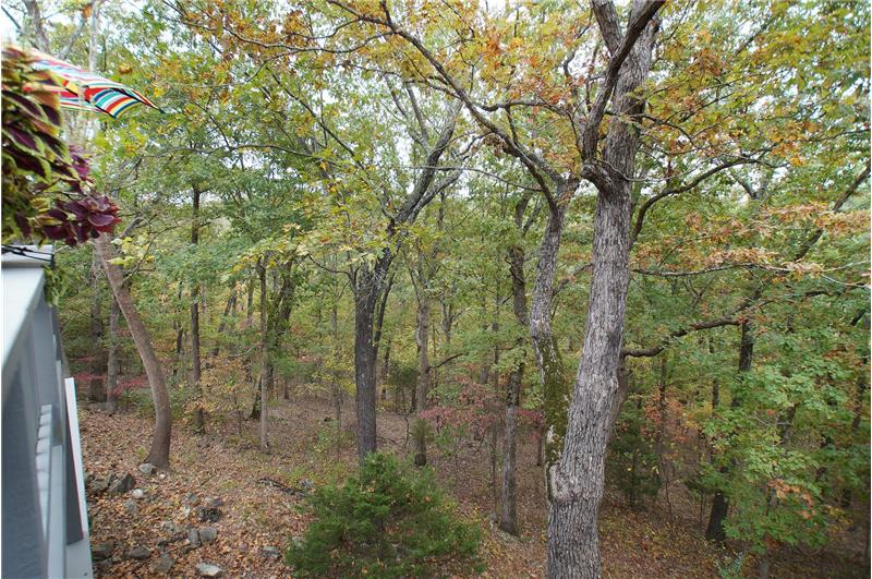 View of the backyard from upper deck