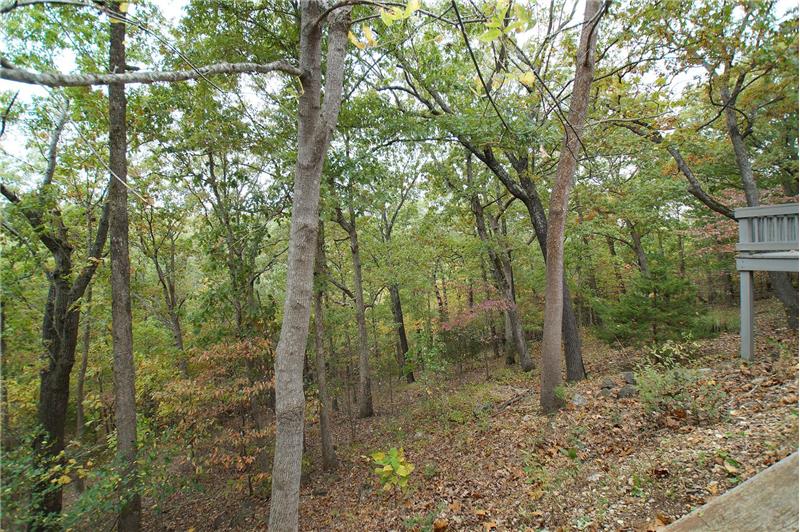 View from driveway of yard