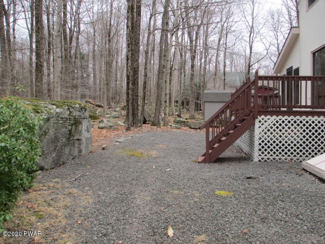Rear Yard
