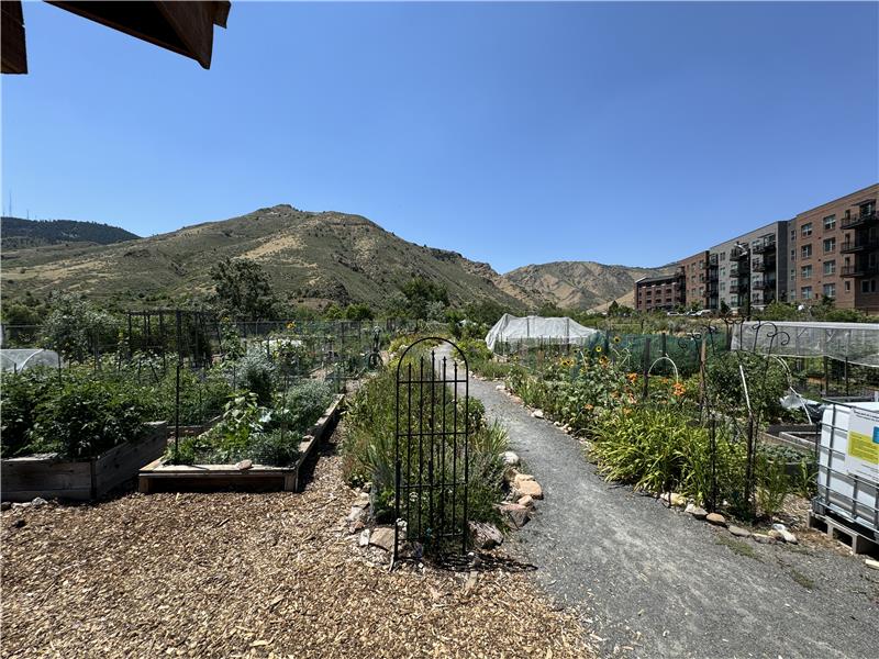 Golden Community Garden next to Clear Creek