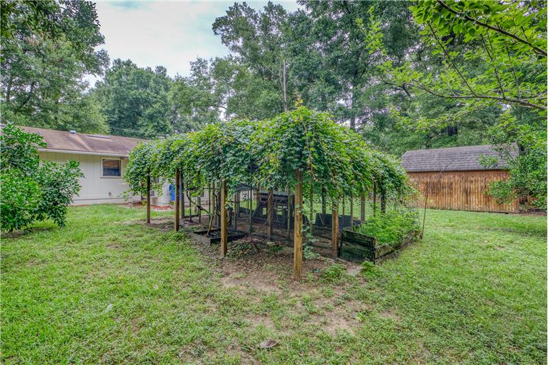 Chicken Coop With Grape Vines