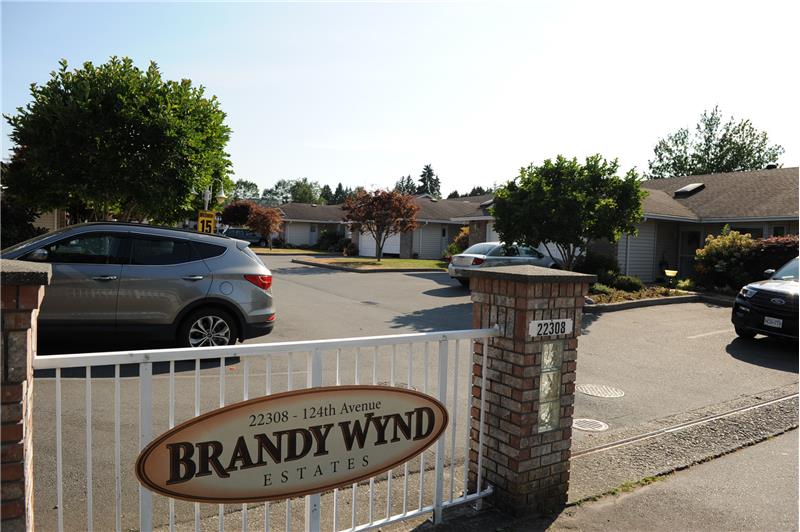 Welcome to Brandy Wynd