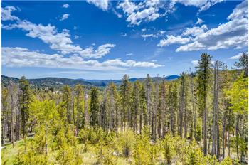 Primary listing photos for listing ID 542690