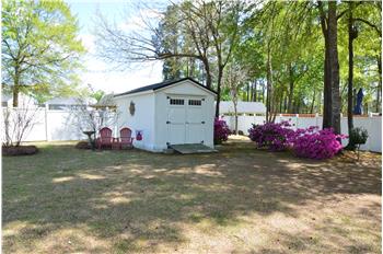 Beautiful azaleas by the shed