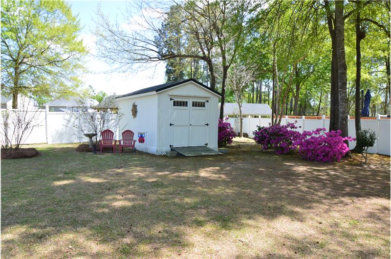 Beautiful azaleas by the shed