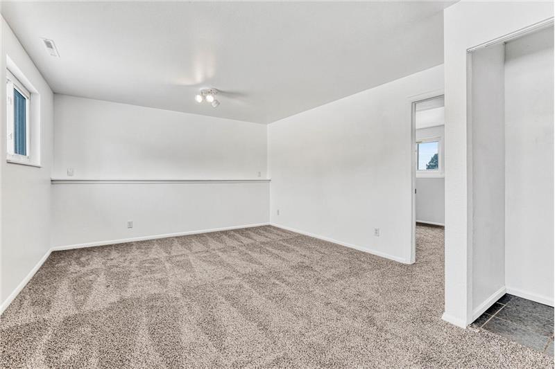 Lower Level Family Room and Laundry Closet