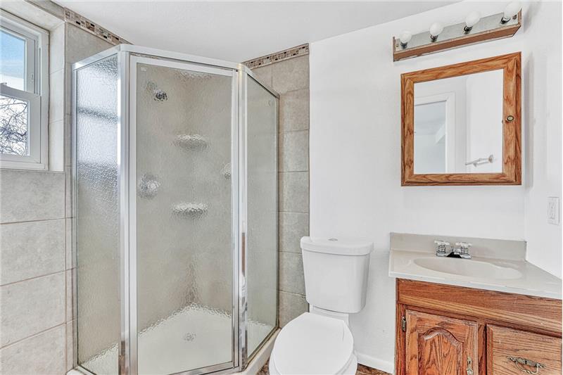 Lower Level Shower Bathroom