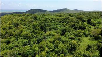 Lots and Land for sale in Frederiksted, VI
