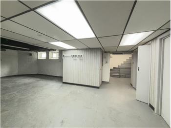 556 Saint Davids  - Basement
