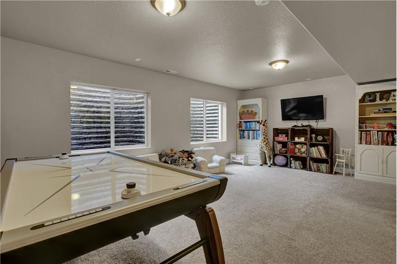 Basement Family/Rec Room