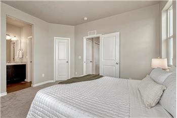 Primary Bedroom with views into the Primary Bathroom.