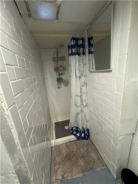 Shower in Basement.