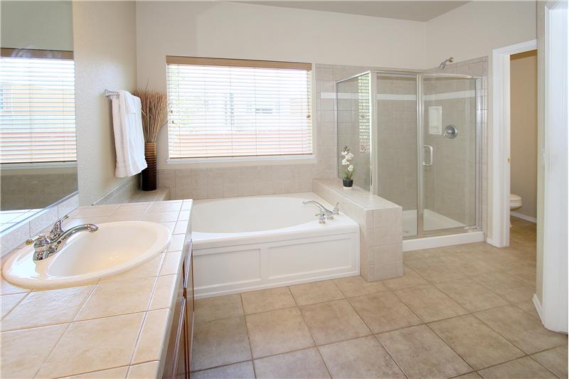Master bath with separate shower and walk-in closet