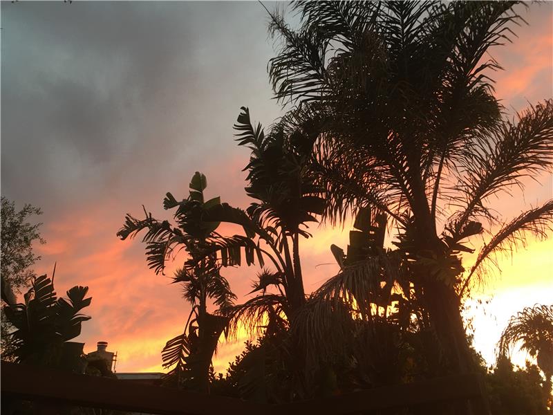 Sunset view from backyard and living room windows