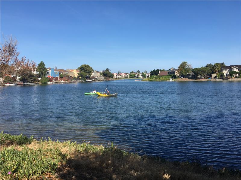 Kayaking on the water by Marlin Park