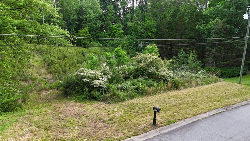 Private, quiet neighborhood on large lots